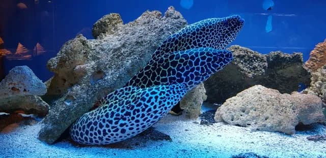 Oceanarium Kołobrzeg opinie – co mówią odwiedzający o atrakcjach?