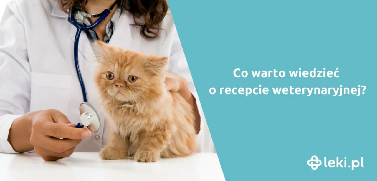 Czy weterynarz może wypisać receptę dla człowieka? Odpowiedź, która zaskakuje