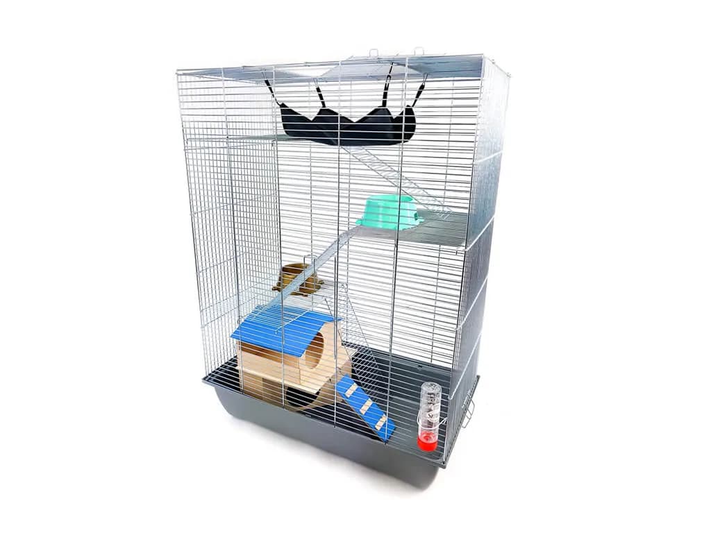 Co na dno klatki dla świnki morskiej? Najlepsze opcje, które pokochasz