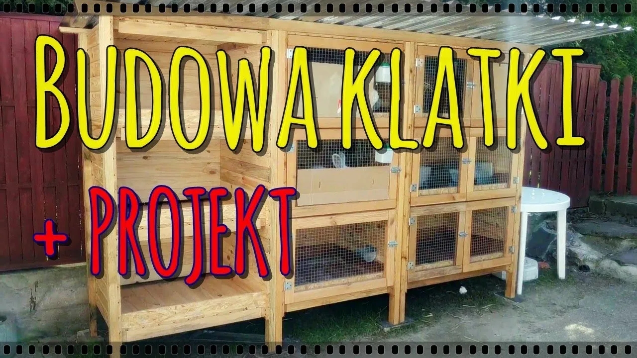 Jak zbudować klatki dla królików - proste kroki i niezbędne materiały