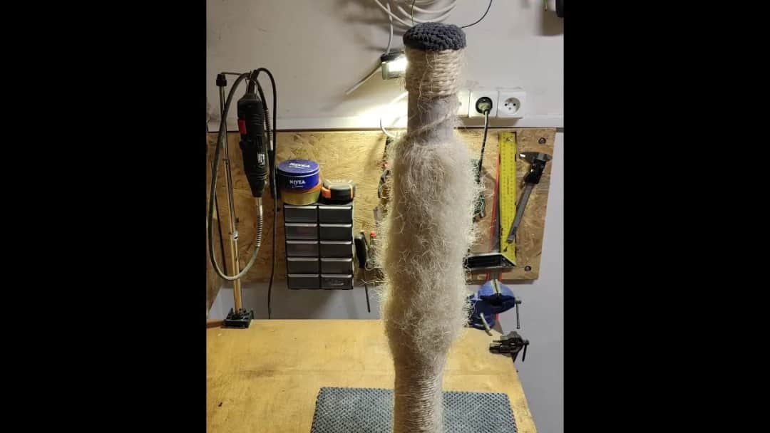 Jak naprawić drapak dla kota - proste sposoby na jego uratowanie