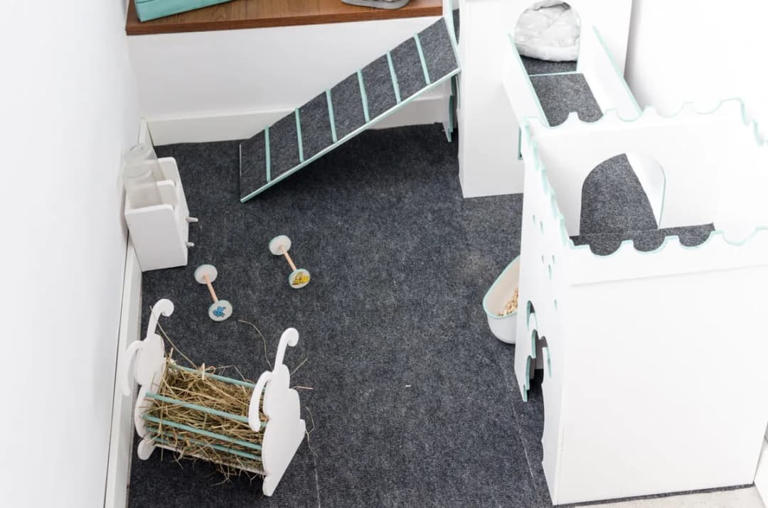 Jak zrobić domek dla królika do klatki - proste kroki i porady