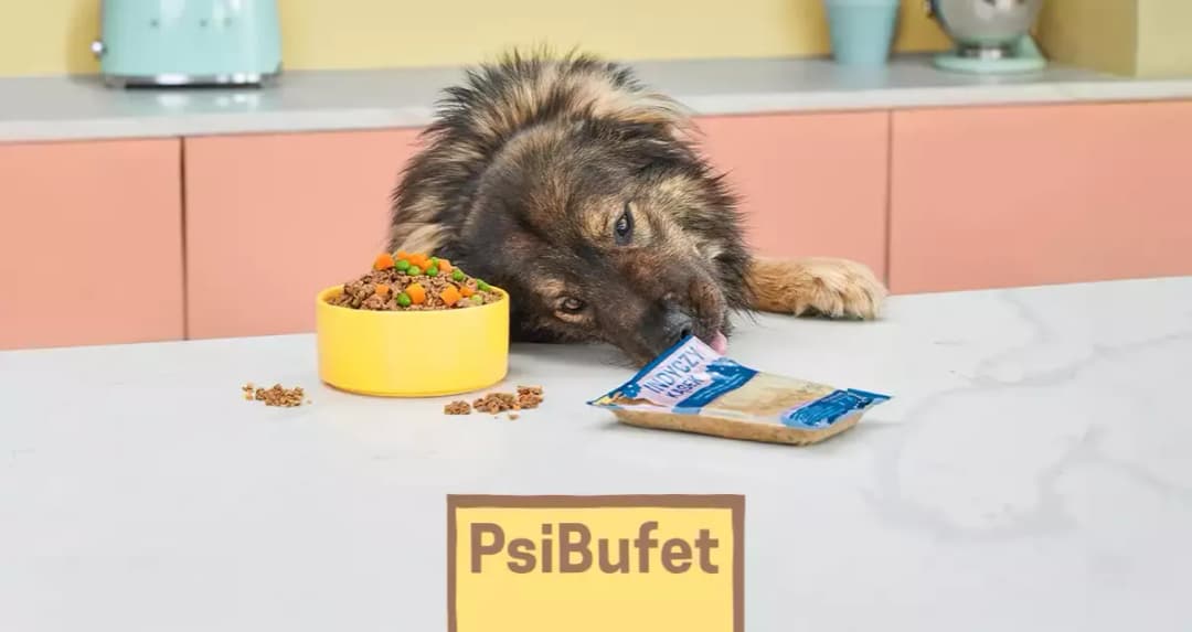 Jak odrobaczać szczeniaka - kluczowe metody i terminy dla zdrowia pupila