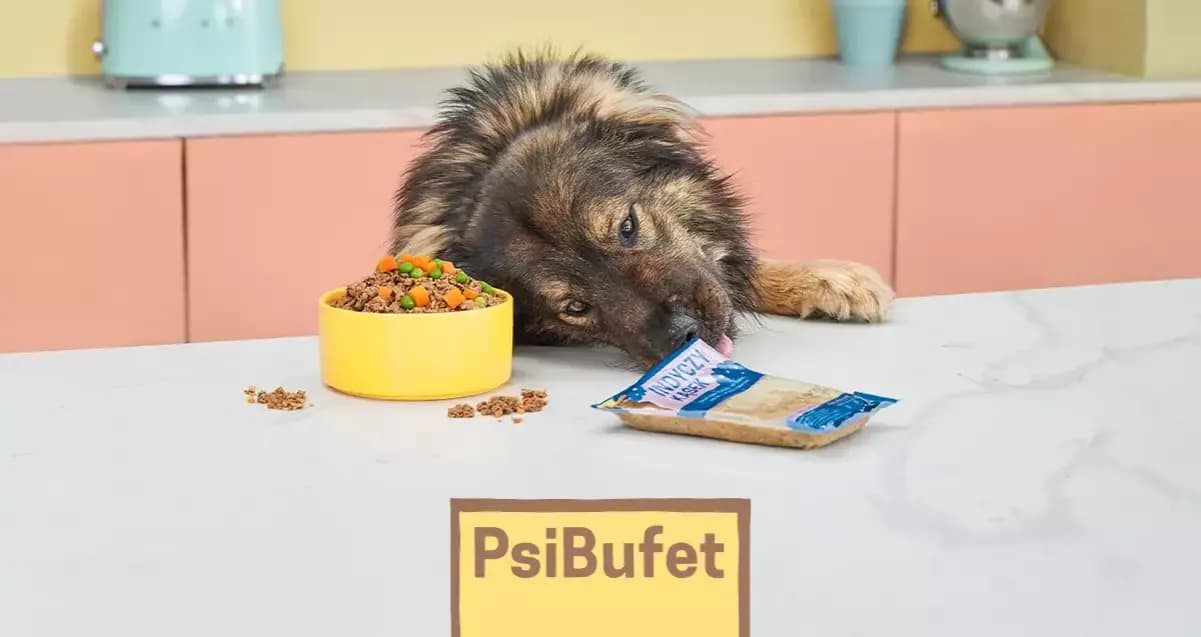 Jak odrobaczać szczeniaka - kluczowe metody i terminy dla zdrowia pupila