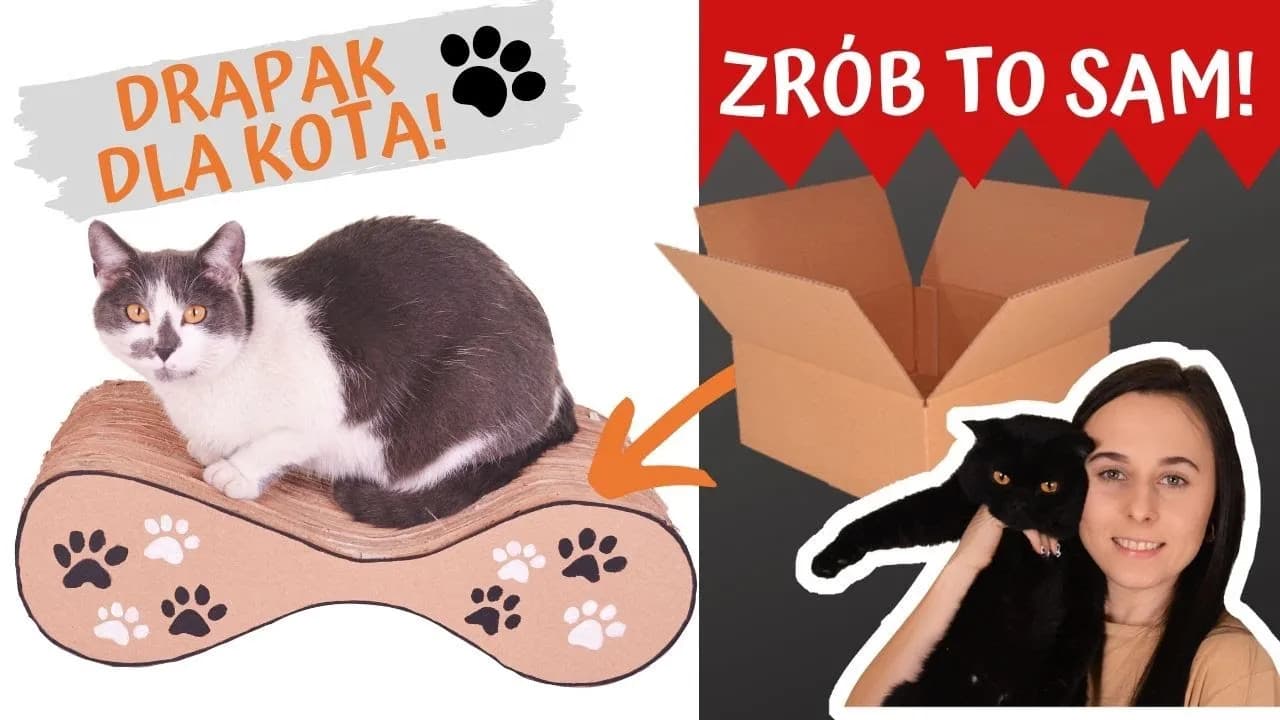 Jak zrobić legowisko dla kota z kartonu, które zachwyci Twojego pupila
