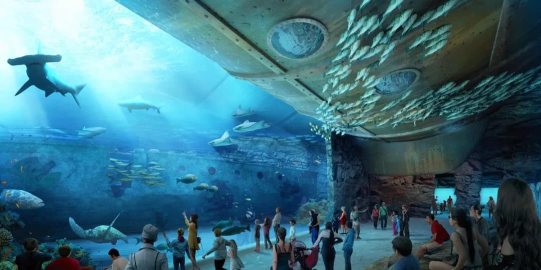 Godziny otwarcia oceanarium w Ustce - nie przegap wizyty!