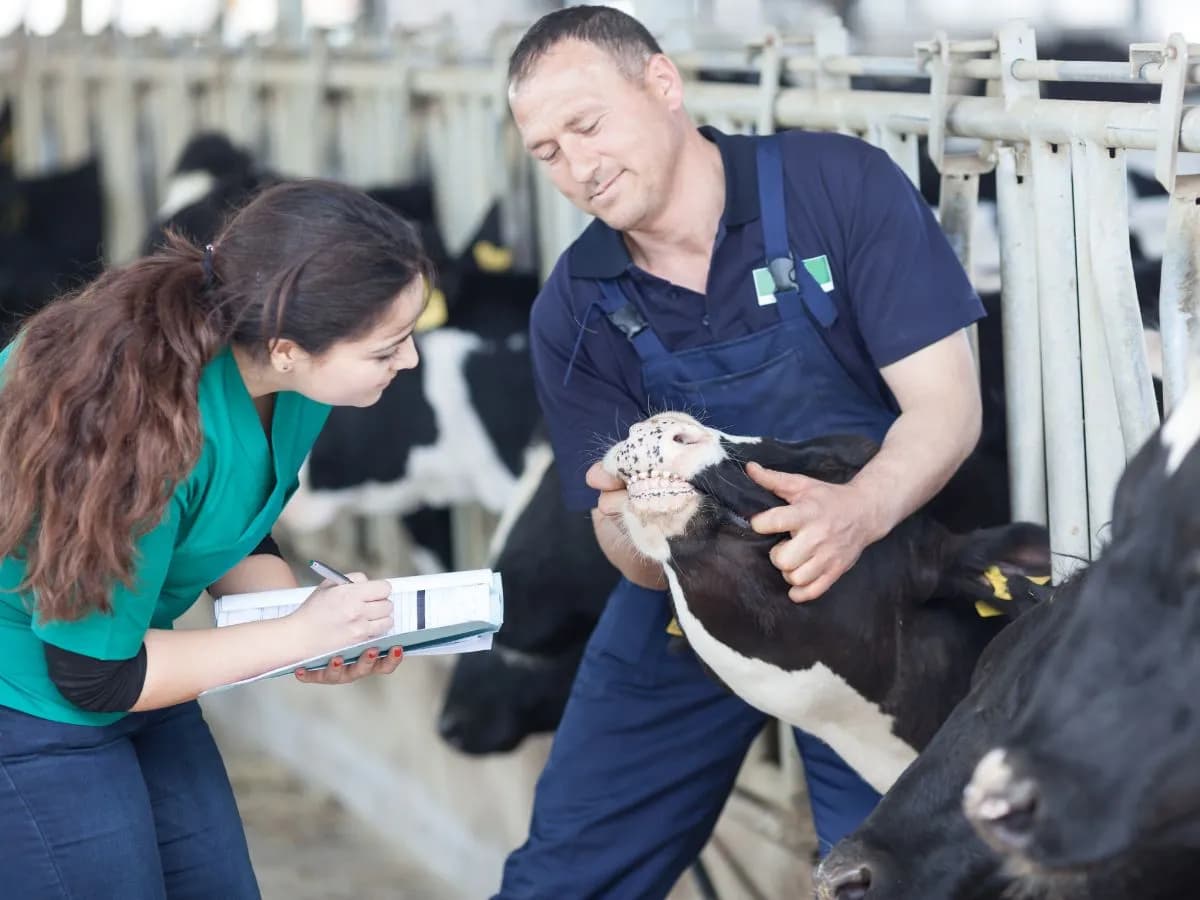 Ile zarabia weterynarz w zoo? Zaskakujące fakty o wynagrodzeniach